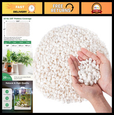 10-lb Decorative White Pebbles for Indoor Plants, Succulents, Vases  Aquariums