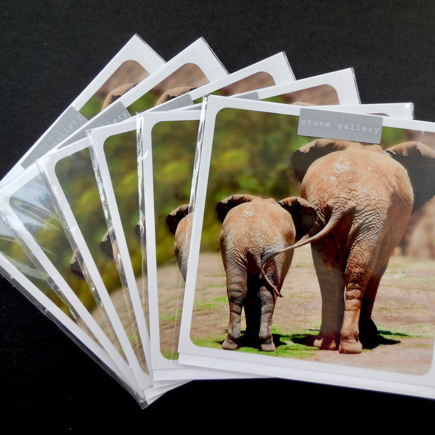 Pack Of 6 Blank Greeting Cards Elephants Notelets Any Occasion Birthday 16x16cm