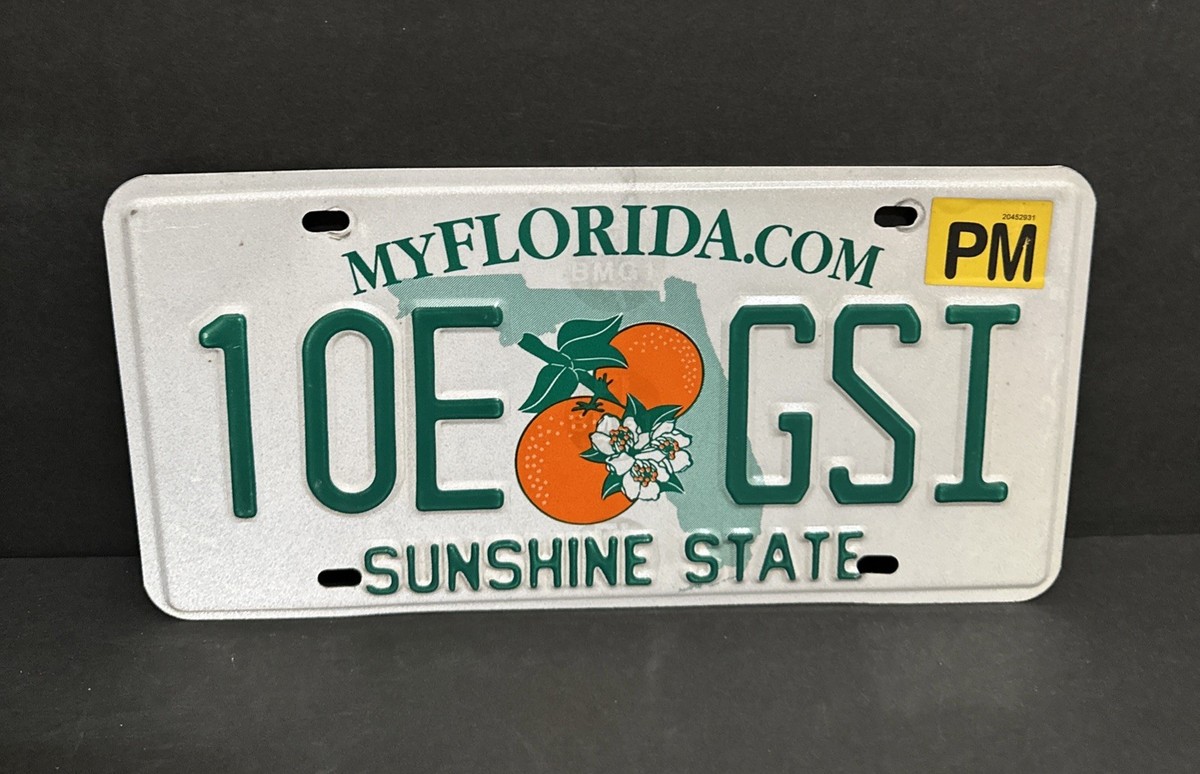FLORIDA PERMANENT LICENSE PLATE 10E 🍊 GSI — SUNSHINE STATE | eBay