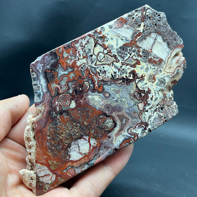 356G Natural Crazy Banded Lace Agate Crystal Polished Slice Mexican Healing E11