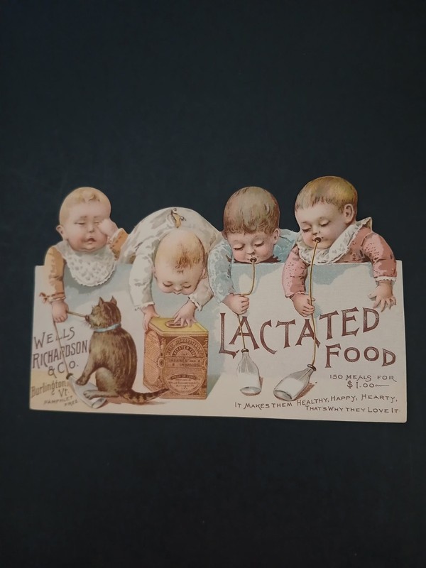 1890's Vintage Lactated Food DOUBLE-SIDED Victorian TRADE CARD (Cat & 4 Babies)