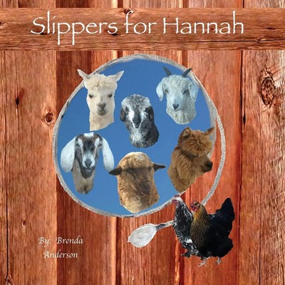 Brenda Anderson | Slippers for Hannah | Taschenbuch | Englisch (2014)