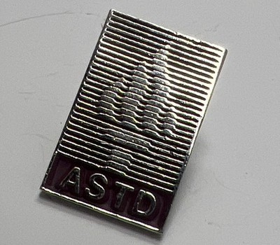 Vintage ASTD Torch Pin