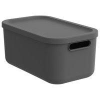 Rotho Albula Aufbewahrungsbox Mit Deckel Aufbewahrungskorb Kunststoff Grau 12 L