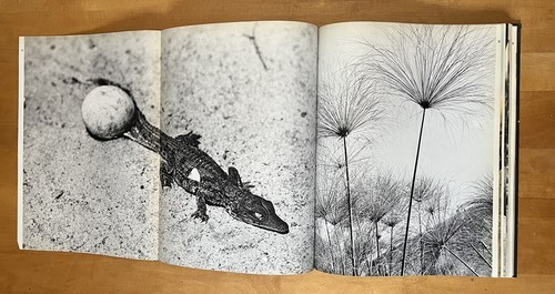 First Edition 'Africa' Emil Schulthess - Simon & Schuster 1959 - Rare Photo Book - Picture 7 of 10