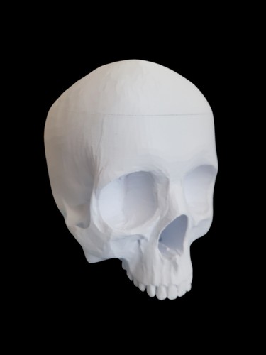 Skull Deck Box - Holds 100 Sleeved Cards - Perfect For MTG YUGIOH POKEMON - Picture 6 of 6