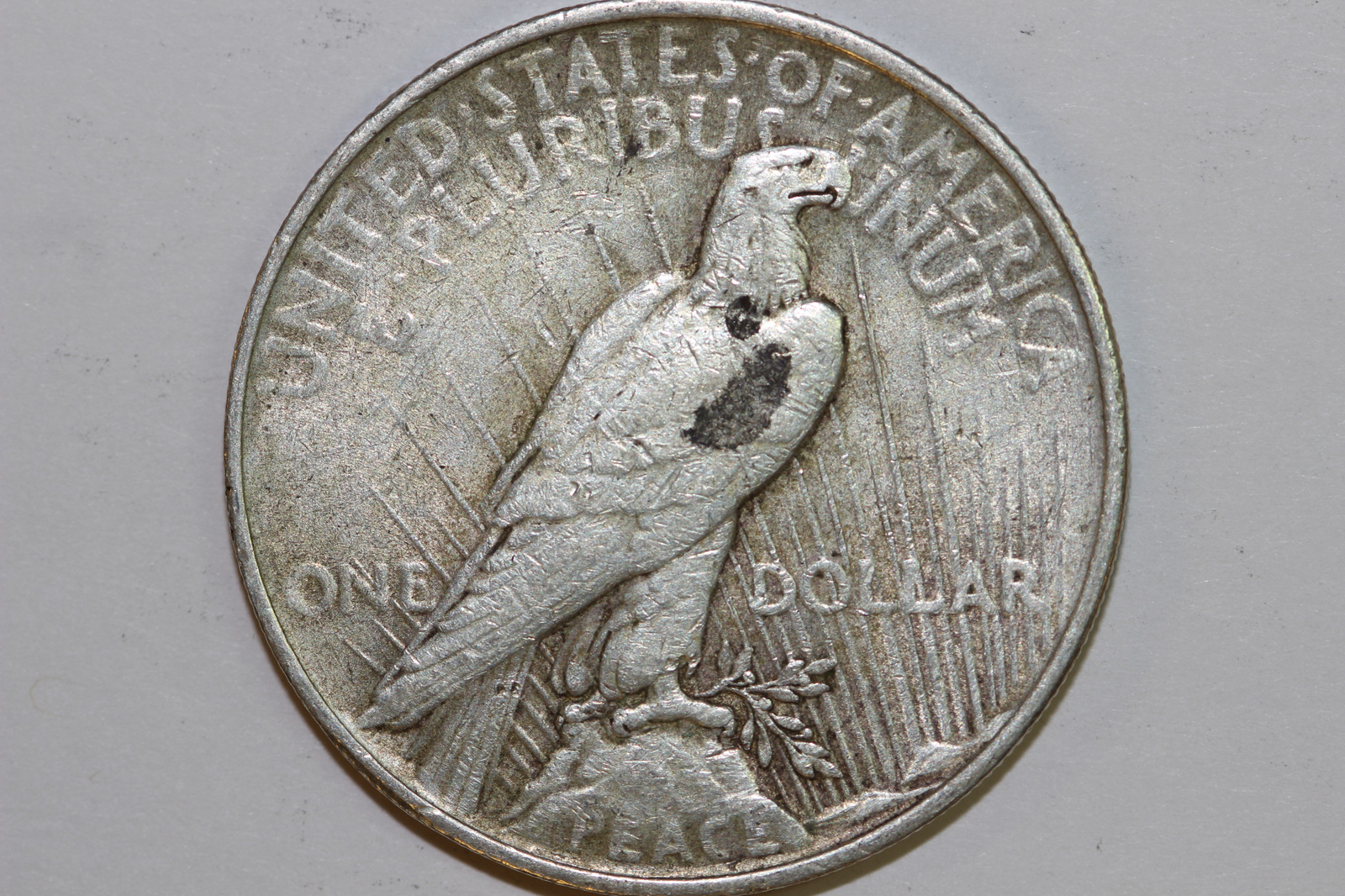 Picture 4 of 5