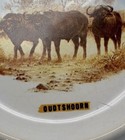 3 West Germany African Wildlife Plates Oudtshoorn Small Giraffe Buffalo Elephant — photo 9