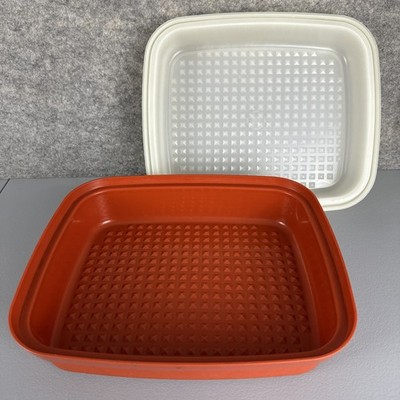 Vintage 1980s Tupperware Season Serve Marinate Container Paprika Storage