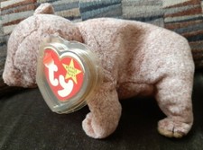 TY Beanie Baby - PECAN the Gold Bear 5.5 inch  Stuffed Animal Toy