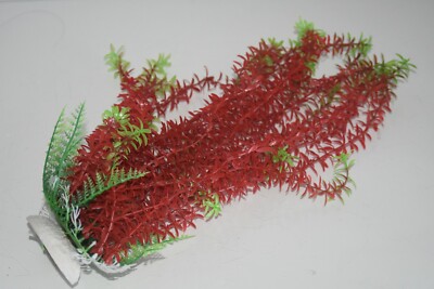 Aquariumpflanzen ca. 33 cm hoch grün & rot dünnes Blatt günstige Pflanzen 