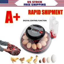 12 Eggs Incubator for Hatching Chick with Automatic Turning & Egg Candler Gift