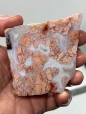 Cotton Candy Agate Slab Cabbing Lapidary Collecting Combo Ship Avail
