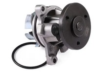 Pompe à eau Rover 25