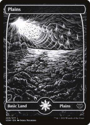 MTG Magic the Gathering Plains (269/561) Innistrad Crimson Vow LP