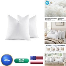 MIULEE 22x22 Pillow Inserts Set of 2 Feather Down Throw Pillows