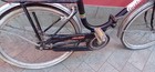 Bild 13 von 19