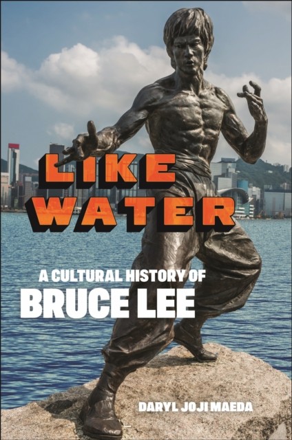 Like Water by Daryl Joji Maeda HARDBACK 9781479812868