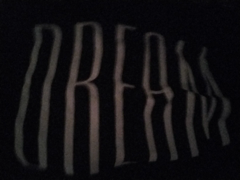 PB Dorm Pottery Barn Teen Zebra COMPLETO Negro Blanco PLANO Y AJUSTADO Y FUNDA DE ENSUEÑO Foto 4 de 4