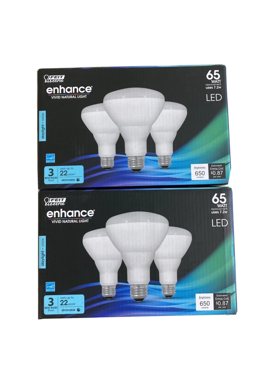 Feit Electric 65 Watt Equivalent Dimmable LED ENERGY Flood Light