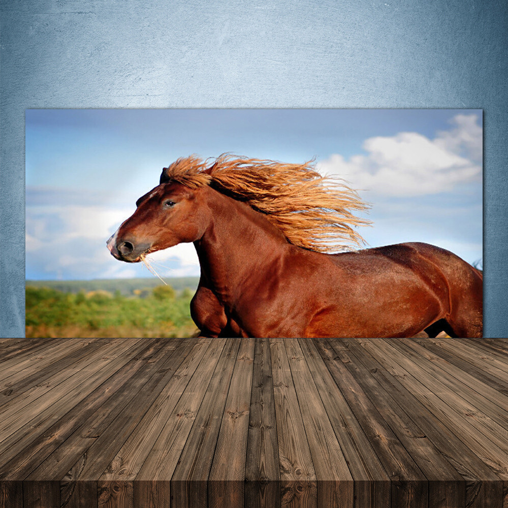 Crédence de cuisine en verre 140x70 cm motif cheval sauvage