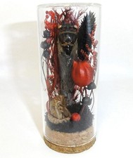 Goth Cicada Red Black Flowers Molt Oddity Jar vampire themed curiosity diorama