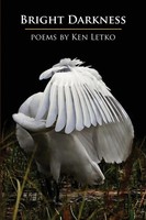 Bright Darkness Ken Letko Taschenbuch Kartoniert / Broschiert Englisch 2017