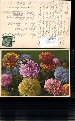 669887,Dahlia variabilis Dahlien Blumen Flora