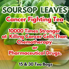 Organic Soursop Leaf/Leaves Herbal Tea Bags Guanabana Graviola Annona Muricata