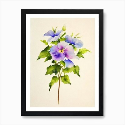 Morning Glory Vintage Flowers Flowe Framed Wall Art Poster Canvas Print Picture
