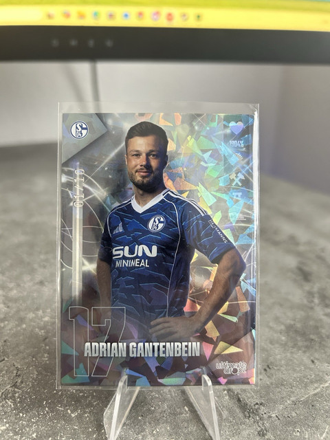 Adrian Gantenbein FC Schalke 04 Bundesliga Fußball Trading Card. Number 1/10