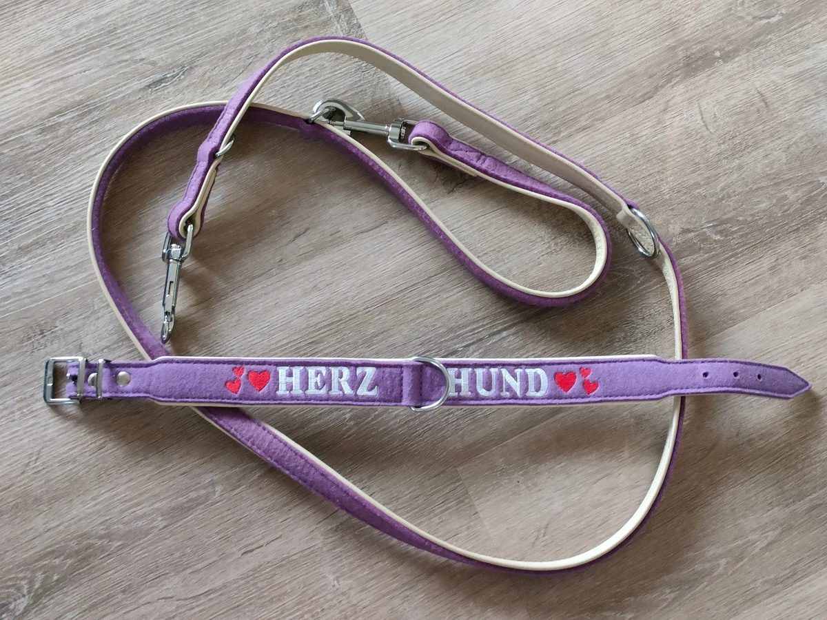 flexi hundeleine 8m Flexi New Classic L Rollleine Hundeleine 8m Gurtband/Tape bis 50 kg K