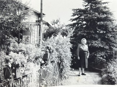   Photo Mrs. Lippert Garden House GDR Chub Saxony Flowers 1950s 10x7