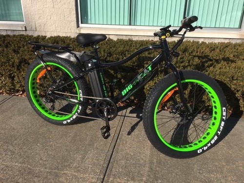 2019 BIG CAT FAT CAT XL 500 ELECTRIC 