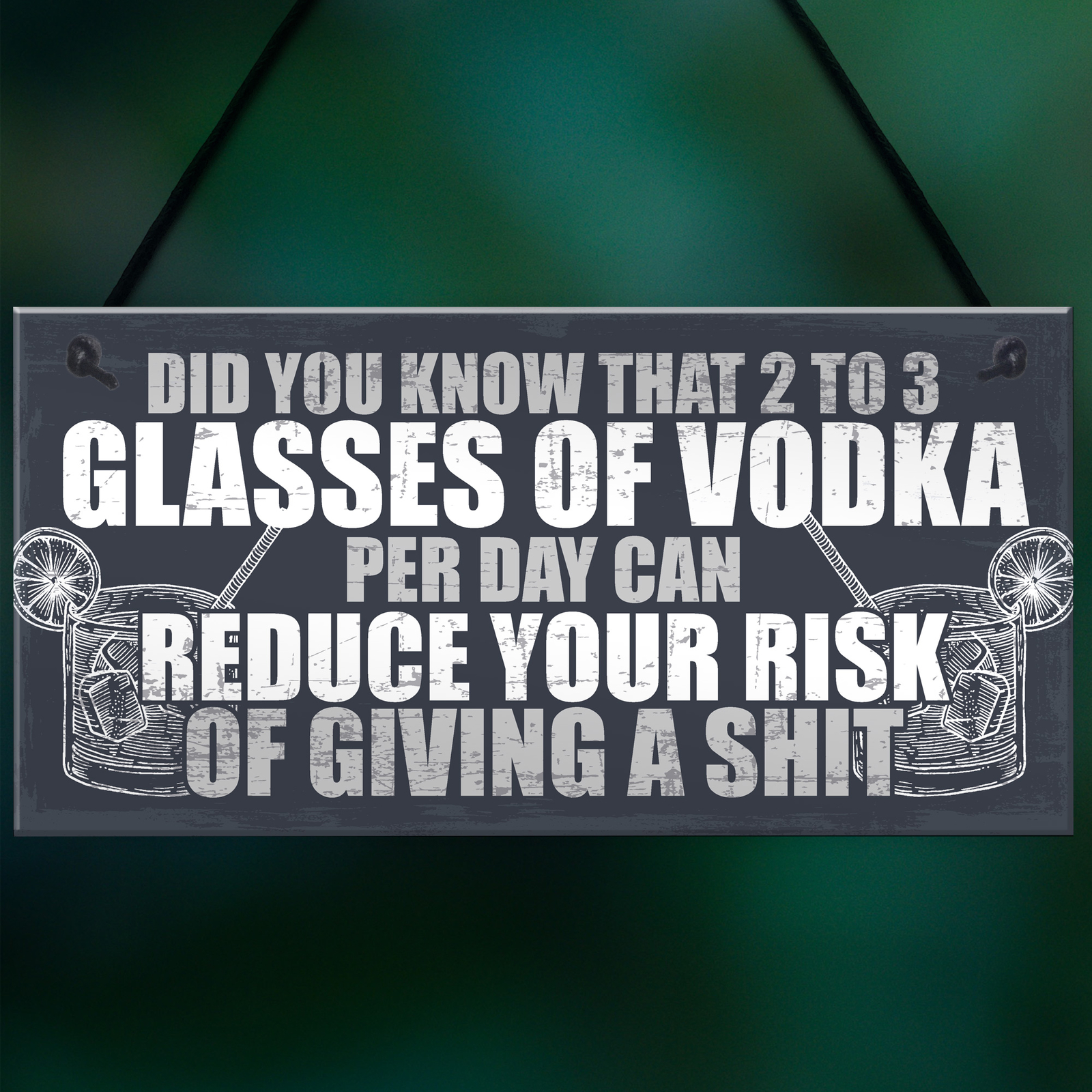 Funny Alcohol Gift Home Bar Sign Vodka Garden Pub Shed Man Cave Plaque