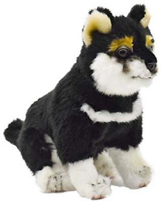 BH7249 HANSA Crociva Pup 22 NEU