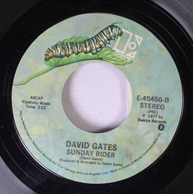 Rock 45 David Gates - Sunday Rider / Goodbye Girl On Elektra