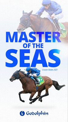 Horse racing photo, stallions,thoroughbreds ascot, breeders cup,farms, cup