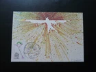 Pen Club bird maximum card France 1981