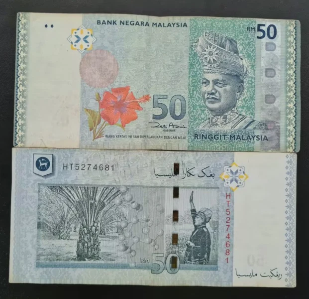 Ringgit currency 2024