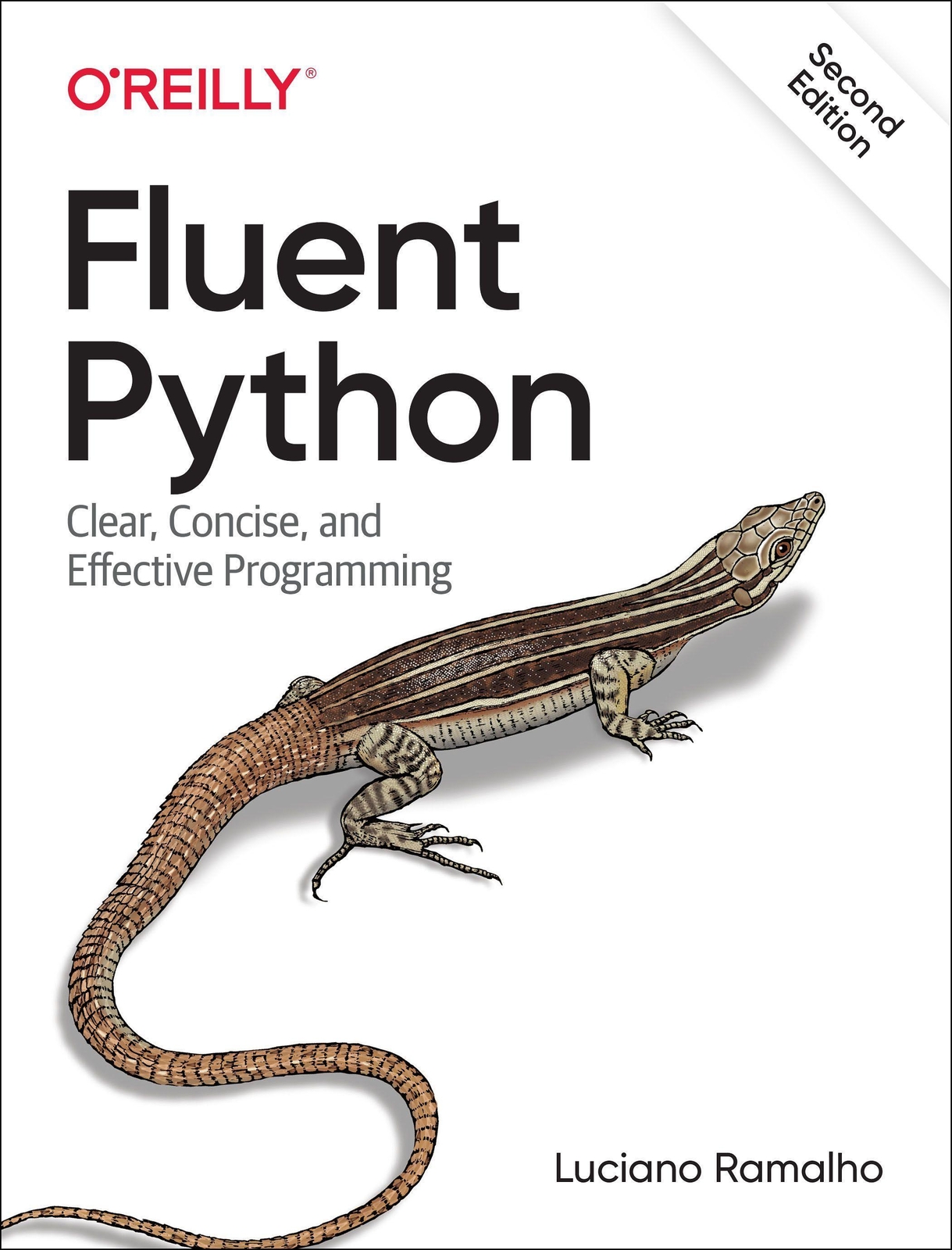 Thumbnail - Fluent Python, Luciano Ramalho