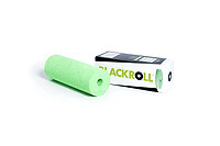 BLACKROLL Mini Green Foam 1 pc(s) 100% DIN ISO 9001: 2000 Germany 15 14205