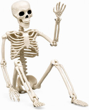 Halloween Skeleton Decorations Outdoor, 16" Plastic Posable Skeleton with Movabl
