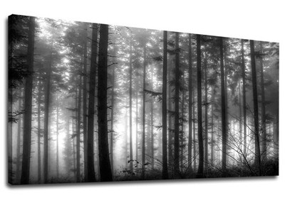 Foggy Forest Canvas Wall Art Black and White Woods Large Canvas Picture Moder...