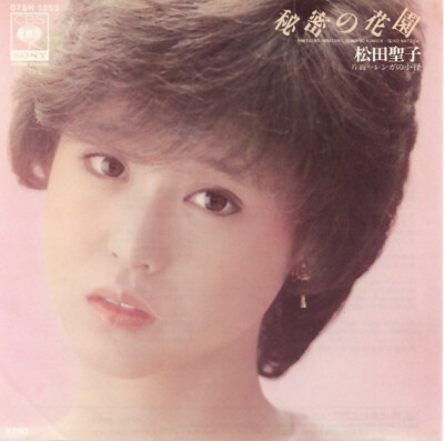 Seiko Matsuda - 秘密の花園 = Himitsu No Hanazono / VG+ / 7'''', Single