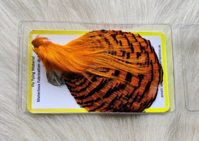 Golden Pheasant Cape Feather.  Color;  Cream. Grade ''A''. Fly .
