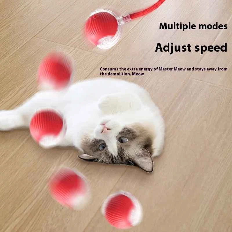 559907_6 559907_6