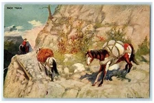 c1905 Pack Train John Innes Art Horse Riding Troilene Posted Antique Postcard