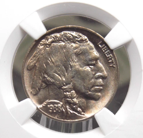 1938 "D" Indian Head BUFFALO Nickel 5c NGC MS66 #011 Gem BU Unc ECC&C, Inc.
