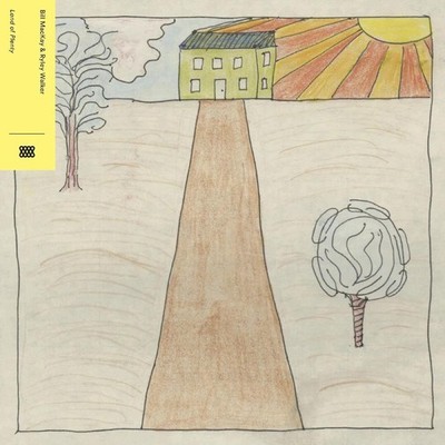 Land of Plenty - Bill Mackay Ryley Walker Vinyl - LP